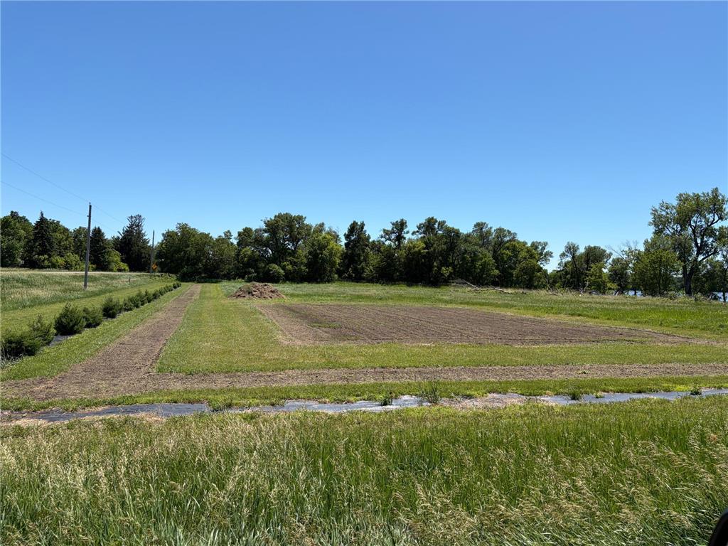TBD Tripp Graham Lakes Twp MN 56131 - Jack 7025302 image1