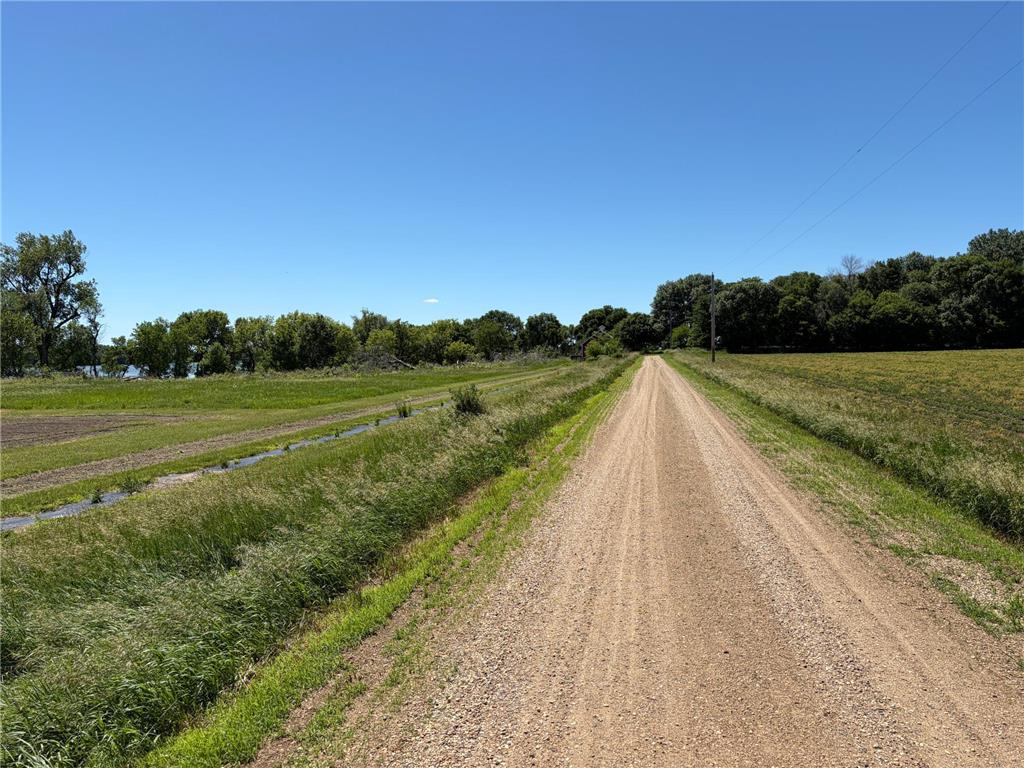 TBD Tripp Graham Lakes Twp MN 56131 - Jack 7025302 image2