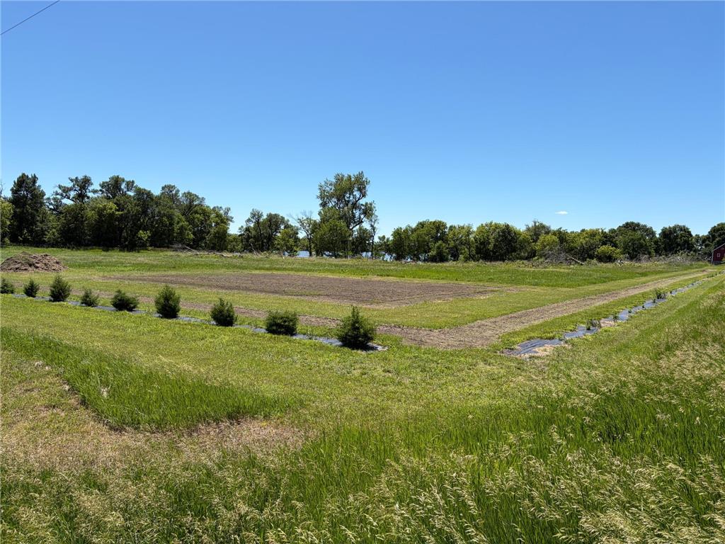 TBD Tripp Graham Lakes Twp MN 56131 - Jack 7025302 image3