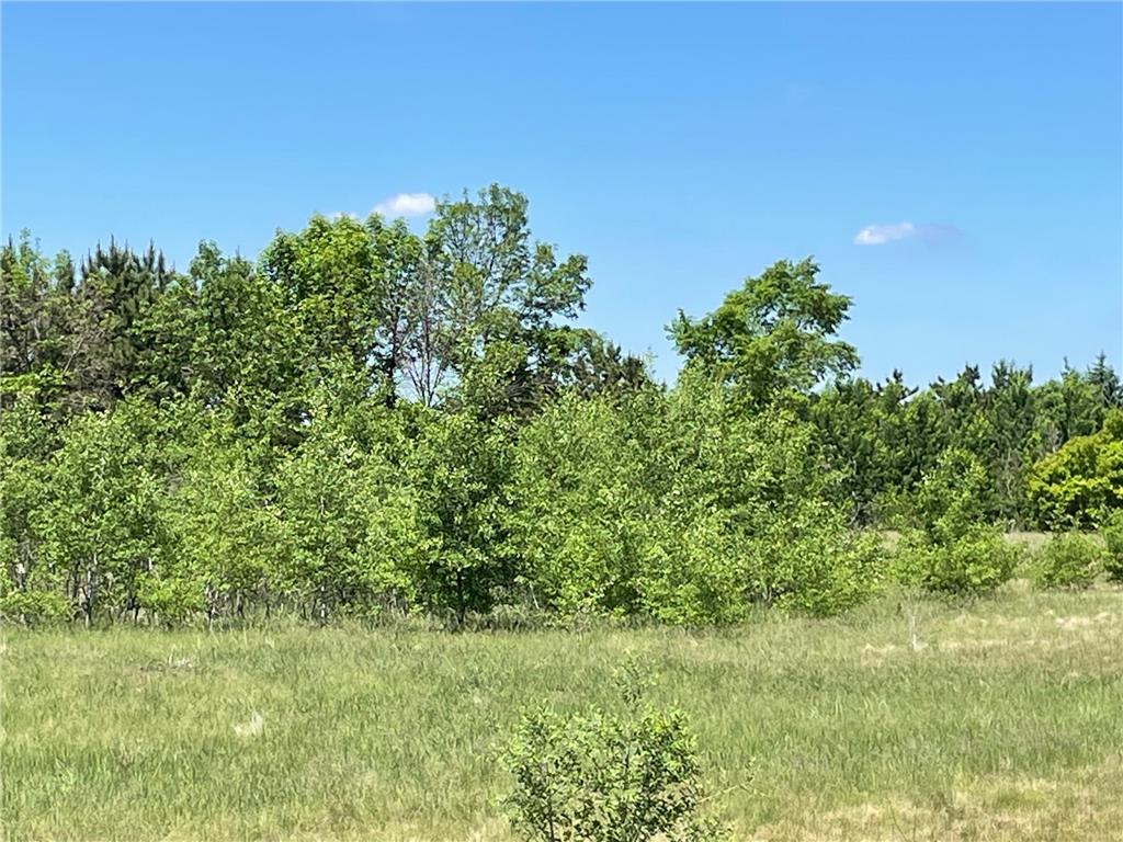 TBD Turtle Creek Circle Cold Spring MN 56320 7088855 image11