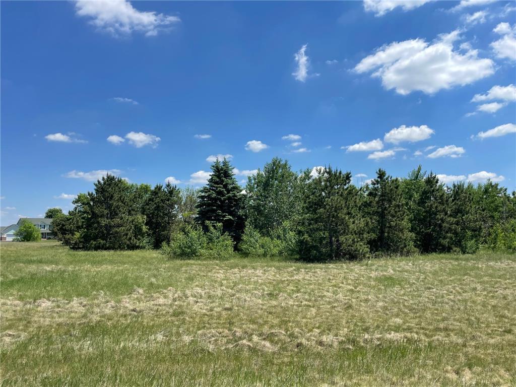 TBD Turtle Creek Circle Cold Spring MN 56320 7088855 image2