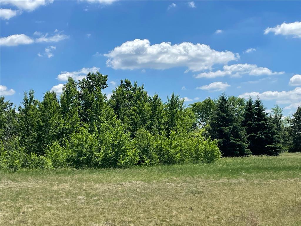 TBD Turtle Creek Circle Cold Spring MN 56320 7088855 image3