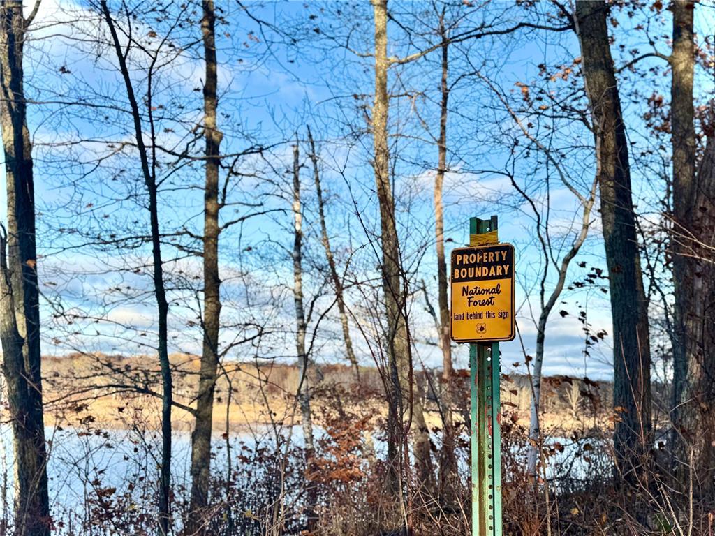 TBD Turtle Lane NW Walker MN 56484 - Turtle Lake 6807487 image12