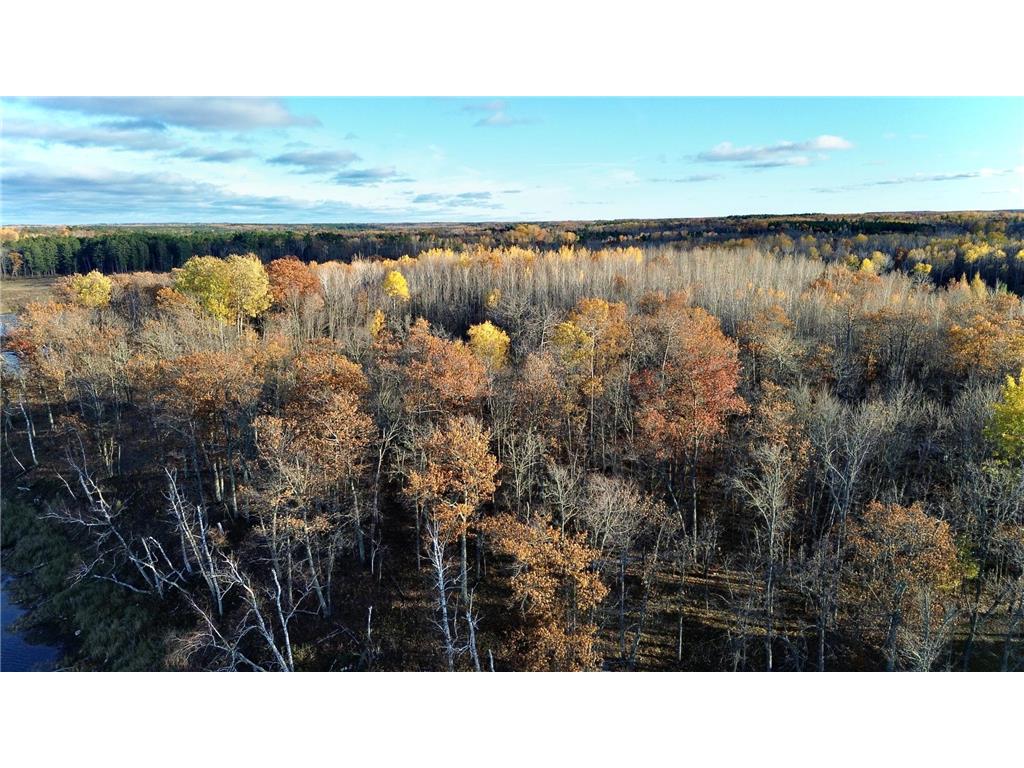 TBD Turtle Lane NW Walker MN 56484 - Turtle Lake 6807487 image16