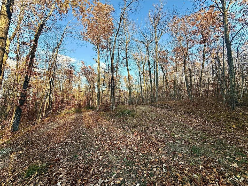 TBD Turtle Lane NW Walker MN 56484 - Turtle Lake 6807487 image4