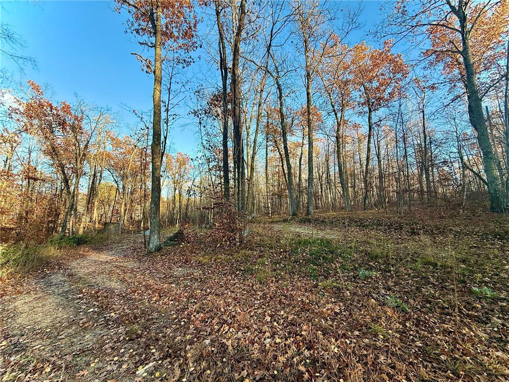 TBD Turtle Lane NW Walker MN 56484 - Turtle Lake 6807487 image5