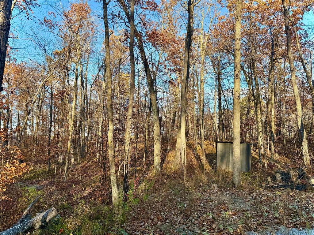 TBD Turtle Lane NW Walker MN 56484 - Turtle Lake 6807487 image6