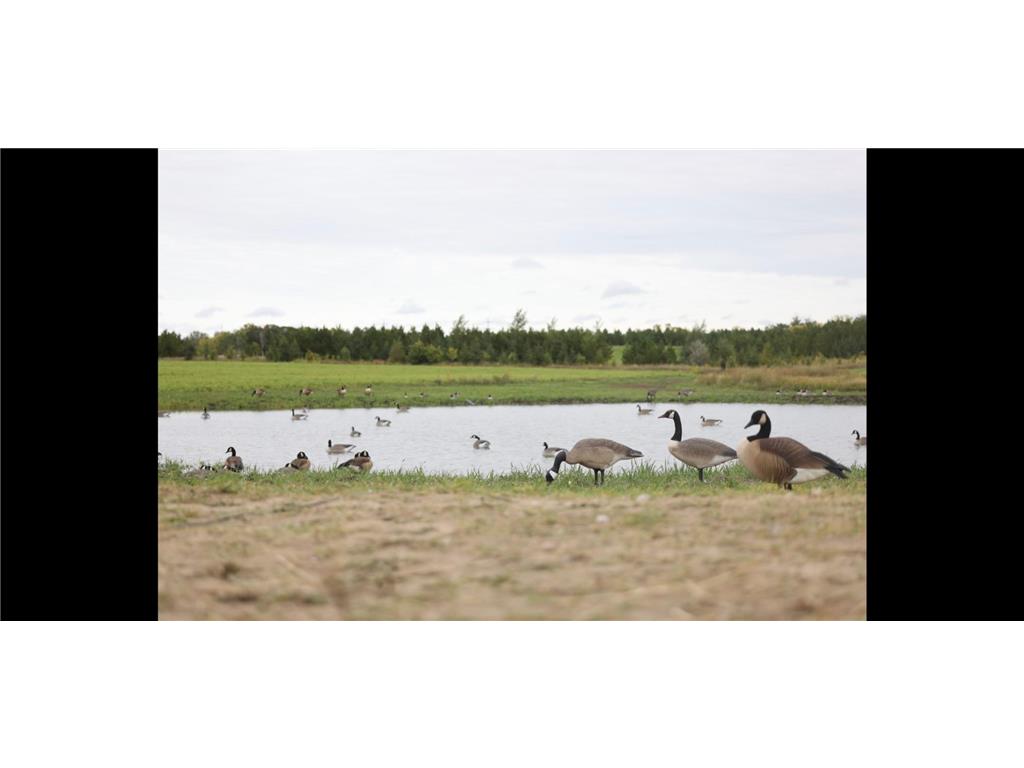 TBD Two Rivers Road Orwell Twp MN 56537 6737256 image1