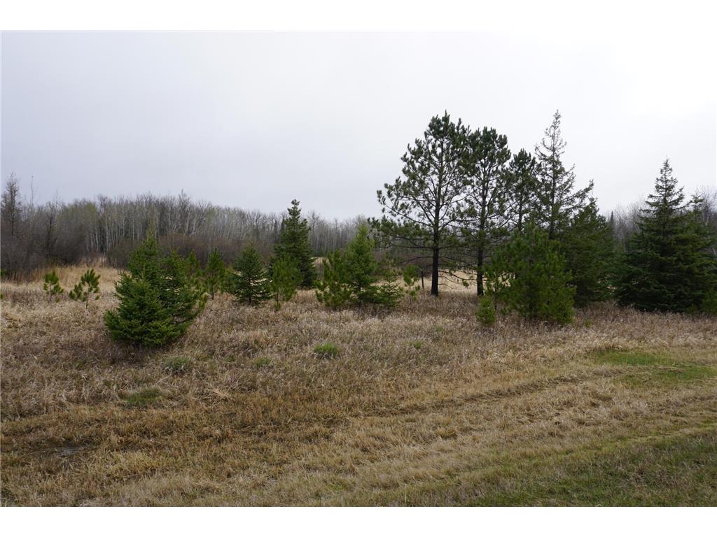 TBD US 2 Highway Deer River MN 56636 6536677 image1