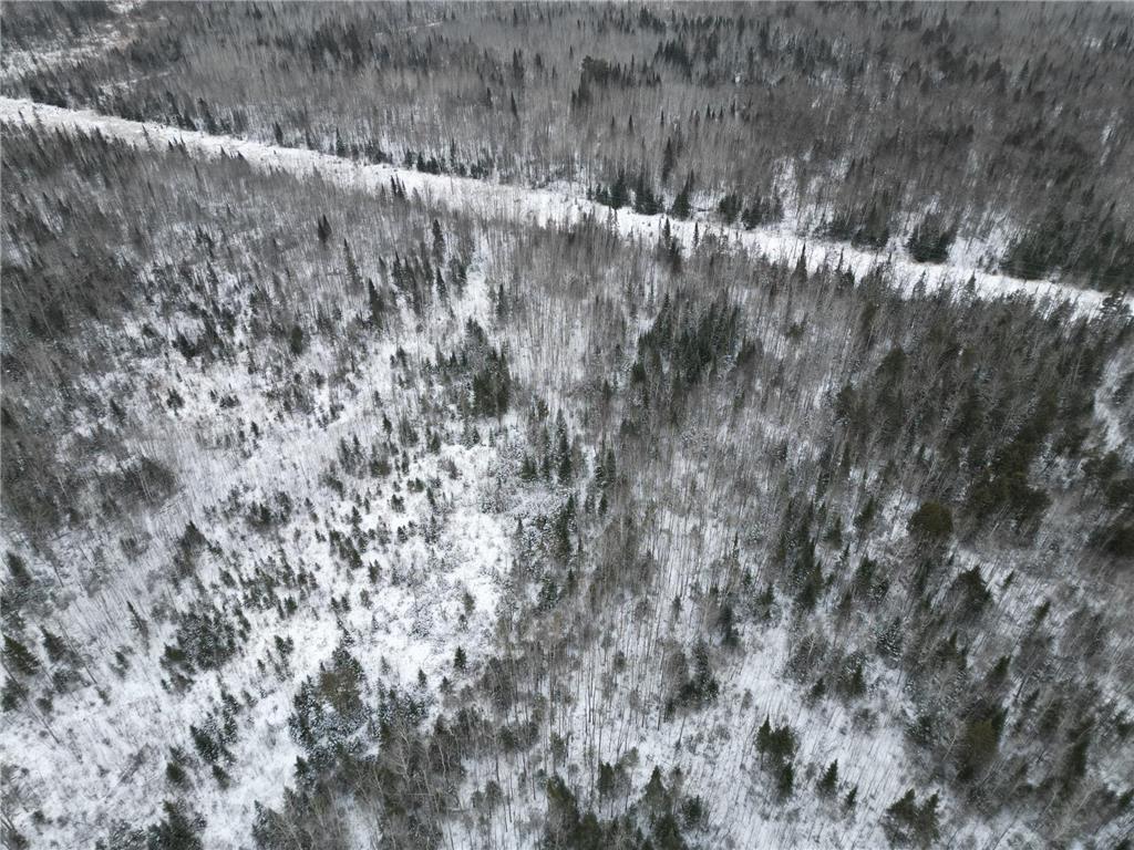 TBD US-71 Big Falls MN 56627 7006258 image16