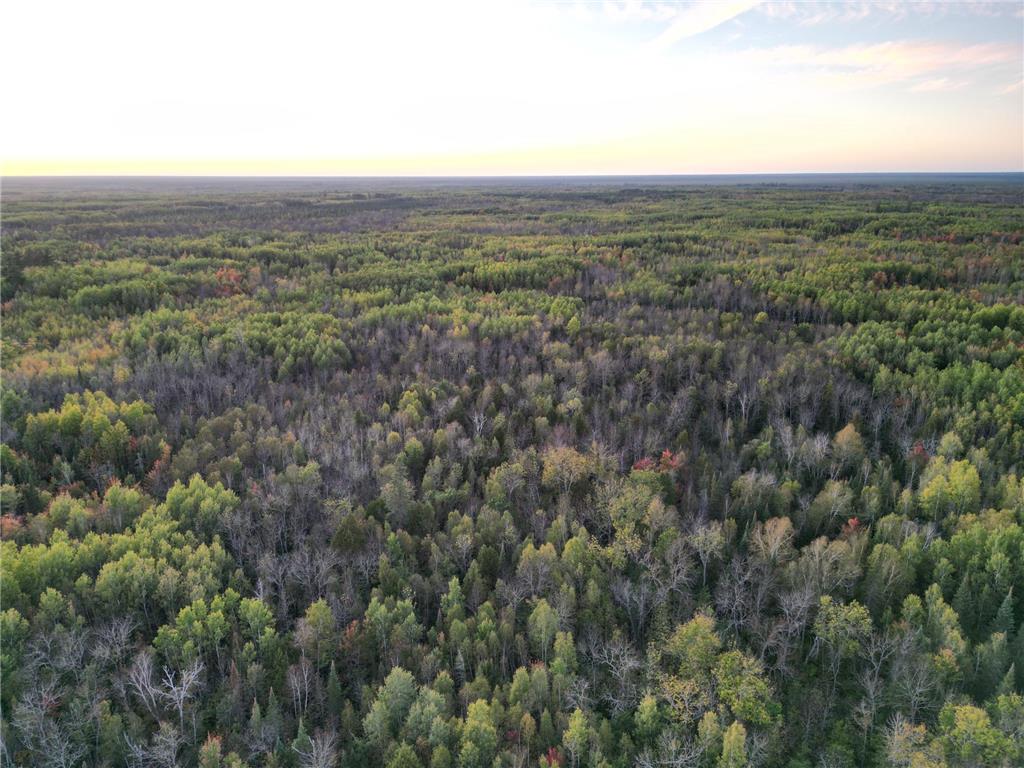 TBD US-71 Big Falls MN 56627 7006258 image18