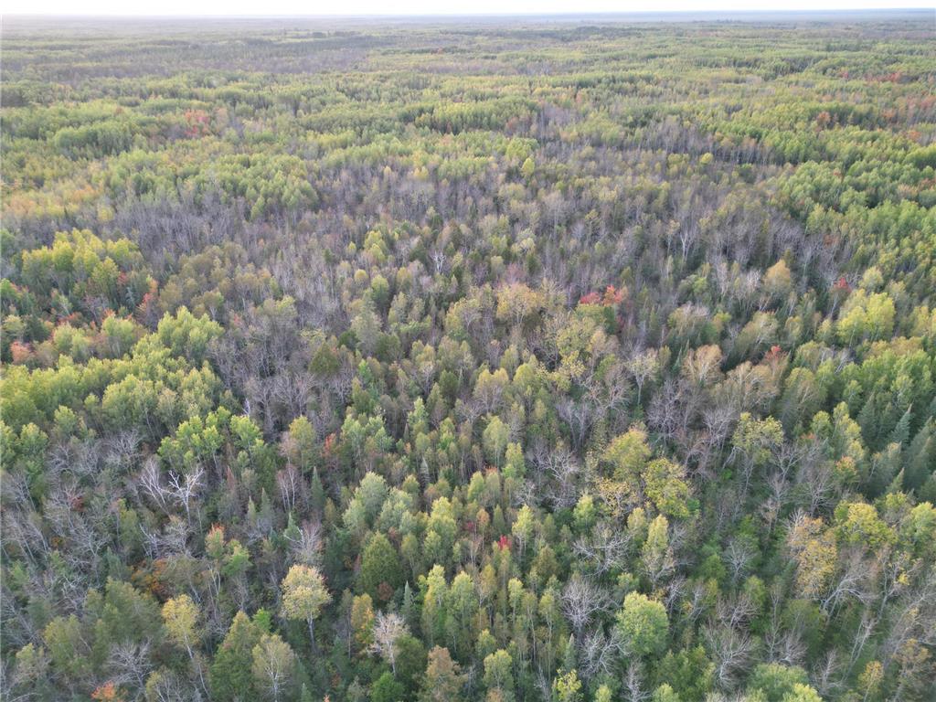 TBD US-71 Big Falls MN 56627 7006258 image19