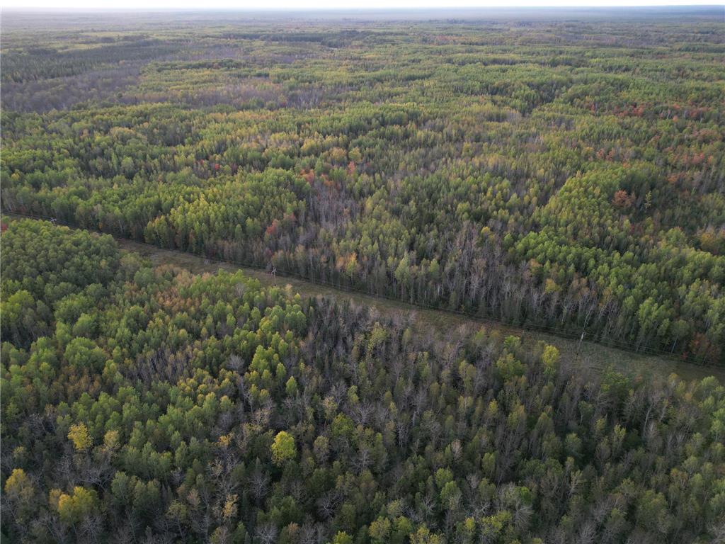 TBD US-71 Big Falls MN 56627 7006258 image20