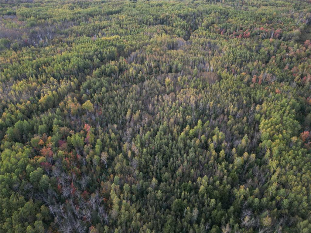 TBD US-71 Big Falls MN 56627 7006258 image21