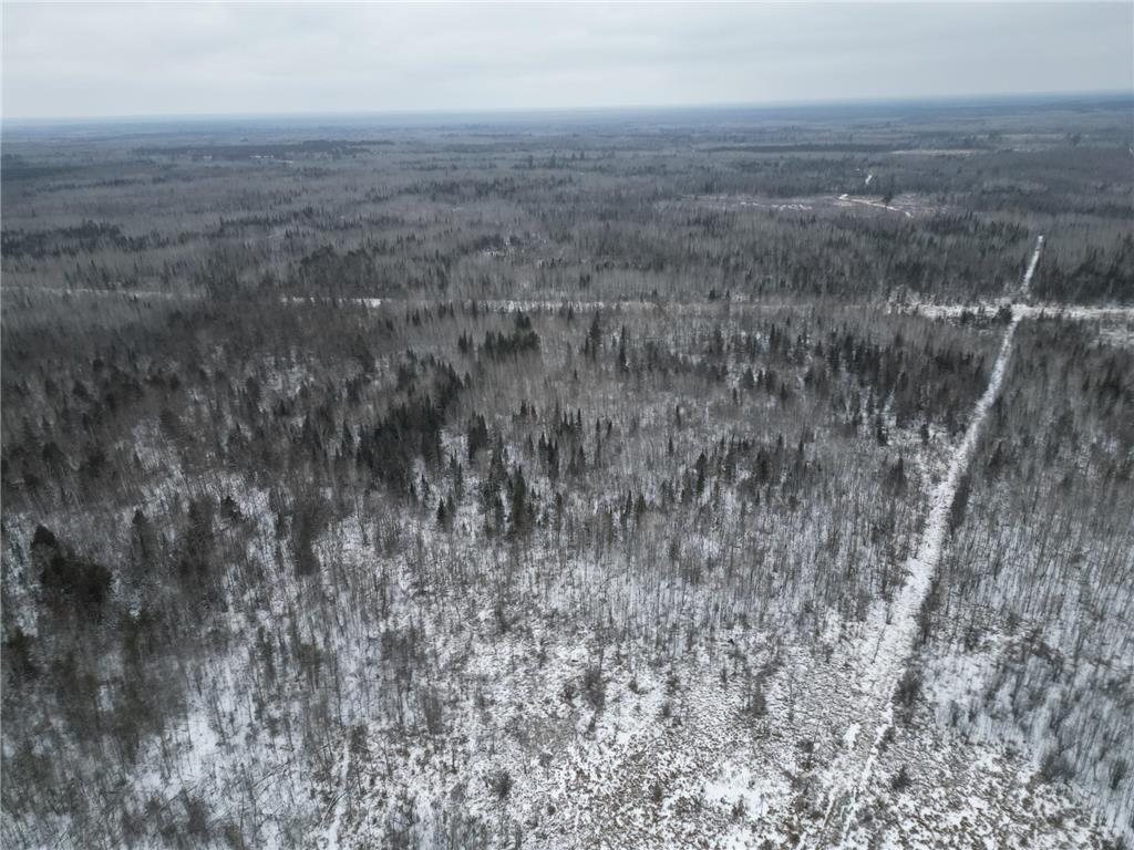 TBD US-71 Big Falls MN 56627 7006258 image4