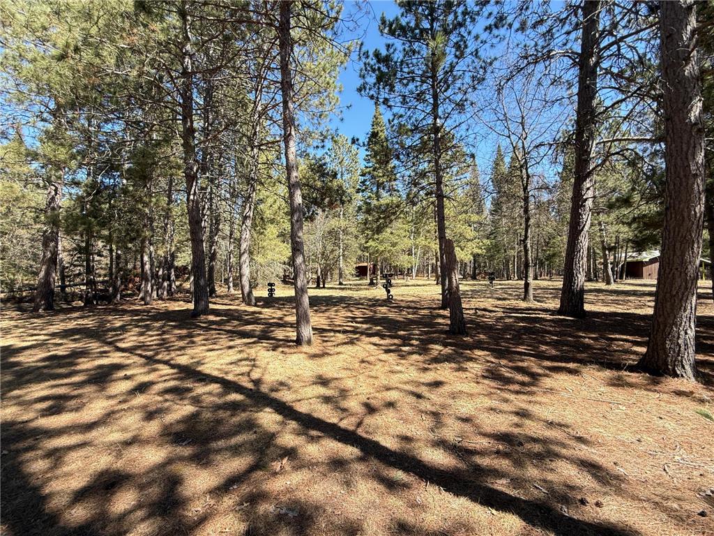 TBD US 71 Park Rapids MN 56470 7063980 image18