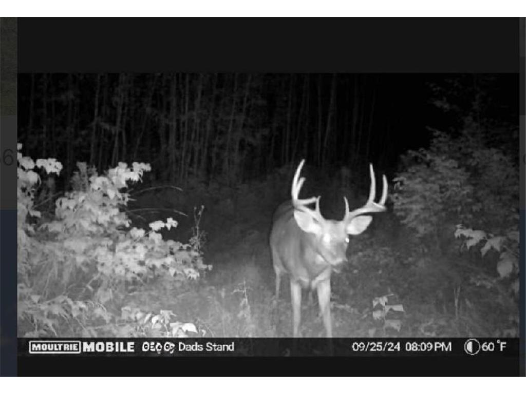 TBD US HWY 2 Bagley MN 56621 - Sabe 7071641 image1