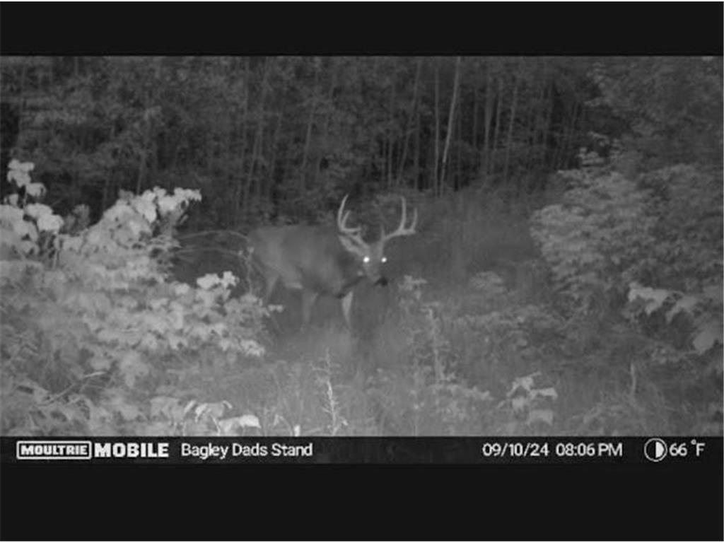 TBD US HWY 2 Bagley MN 56621 - Sabe 7071641 image15