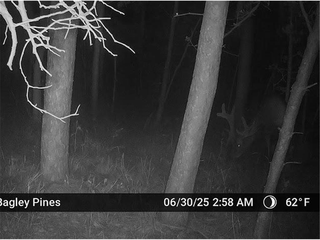 TBD US HWY 2 Bagley MN 56621 - Sabe 7071641 image17