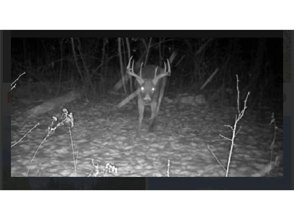 TBD US HWY 2 Bagley MN 56621 - Sabe 7071641 image19