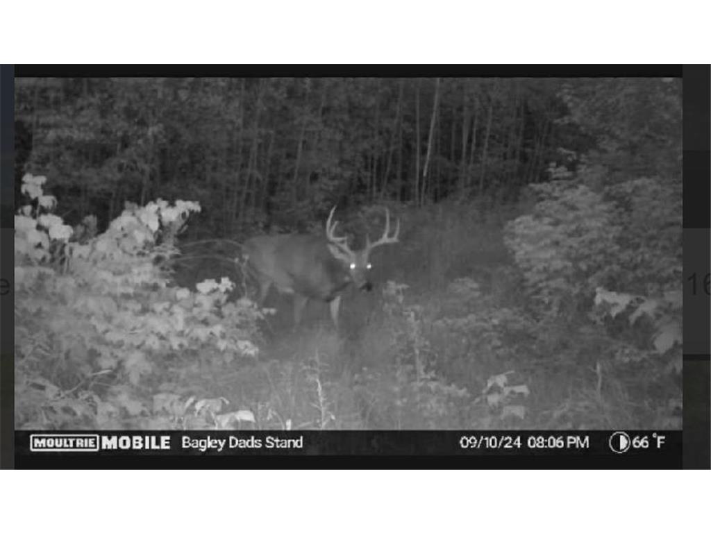 TBD US HWY 2 Bagley MN 56621 - Sabe 7071641 image20
