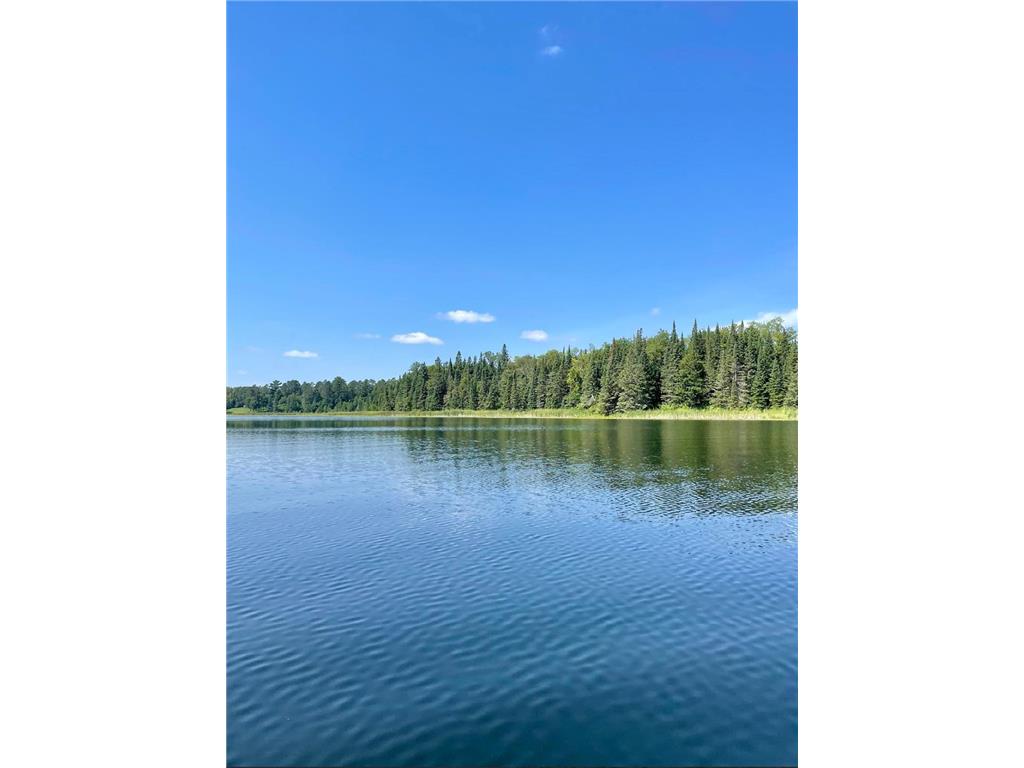TBD US HWY 2 Bagley MN 56621 - Sabe 7071641 image21