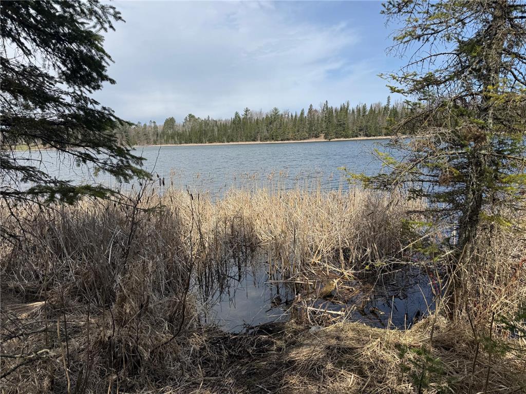 TBD US HWY 2 Bagley MN 56621 - Sabe 7071641 image27