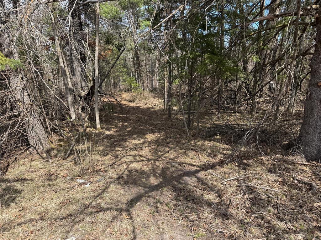 TBD US HWY 2 Bagley MN 56621 - Sabe 7071641 image30