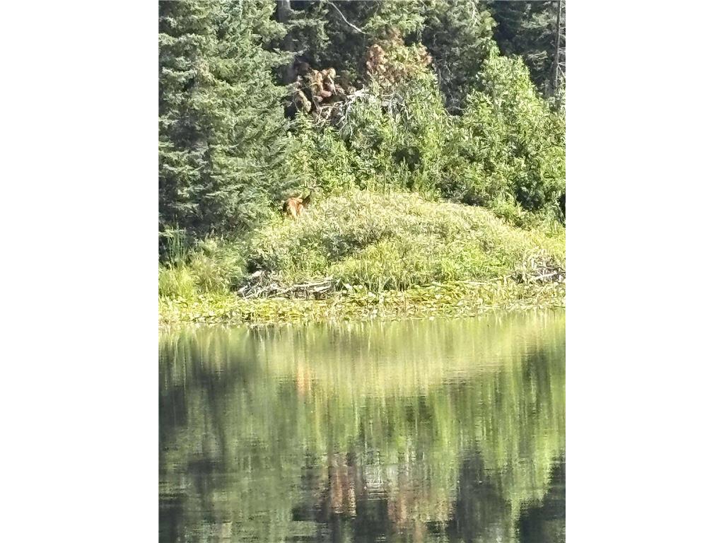 TBD US HWY 2 Bagley MN 56621 - Sabe 7071641 image35