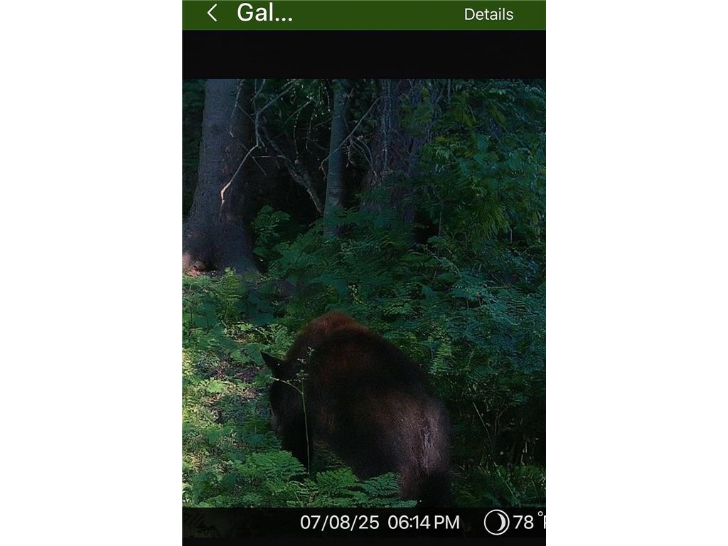 TBD US HWY 2 Bagley MN 56621 - Sabe 7071641 image37