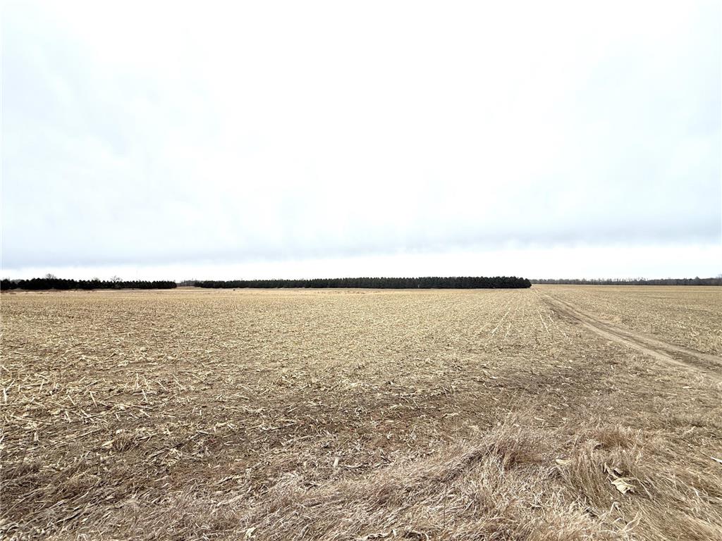 TBD US Hwy 10 New York Mills MN 56567 7058581 image10