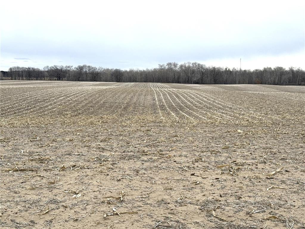 TBD US Hwy 10 New York Mills MN 56567 7058581 image13
