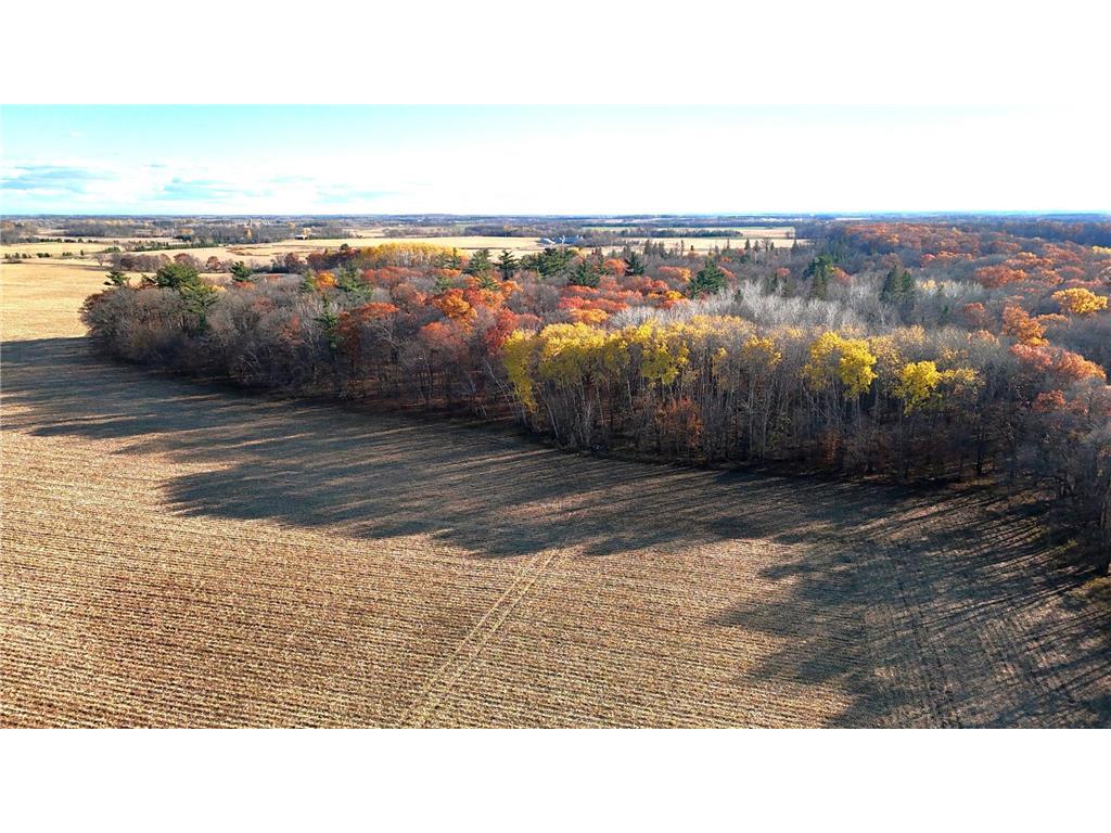TBD US Hwy 10 New York Mills MN 56567 7058581 image17