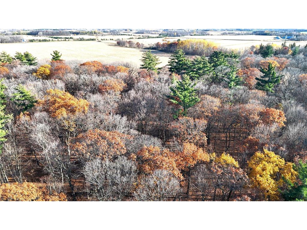 TBD US Hwy 10 New York Mills MN 56567 7058581 image18