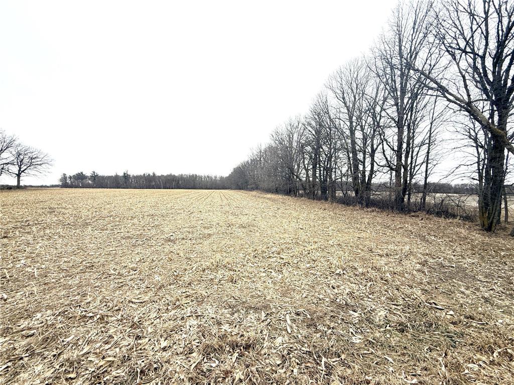 TBD US Hwy 10 New York Mills MN 56567 7058581 image25