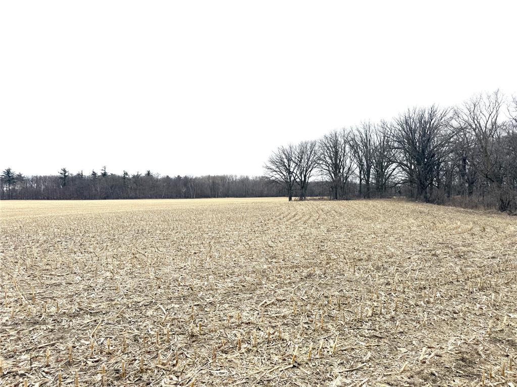 TBD US Hwy 10 New York Mills MN 56567 7058581 image26