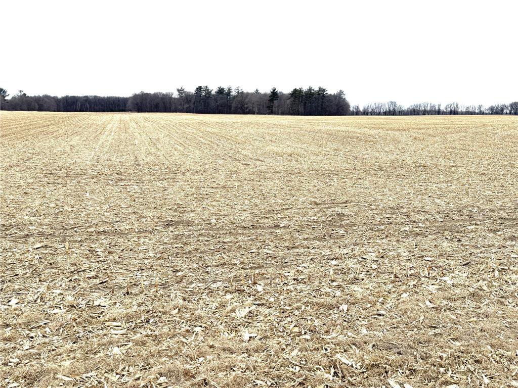 TBD US Hwy 10 New York Mills MN 56567 7058581 image28