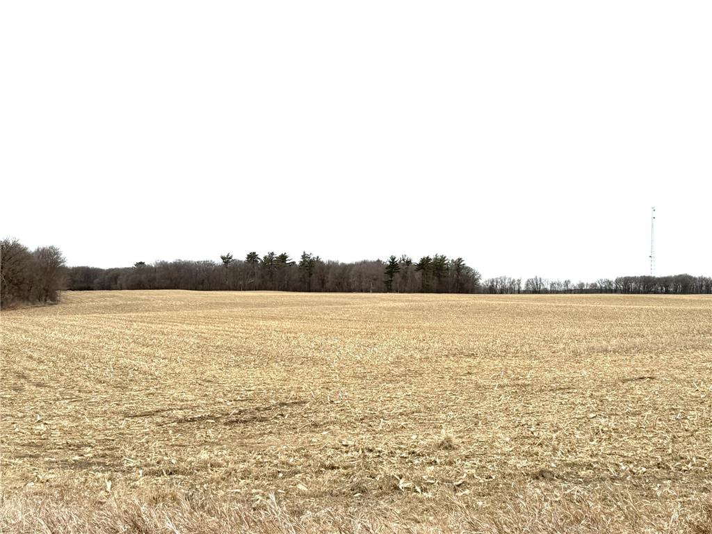 TBD US Hwy 10 New York Mills MN 56567 7058581 image29