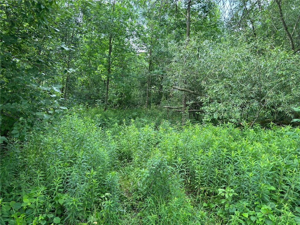 TBD US Hwy 12 Baldwin WI 54028 7099318 image7