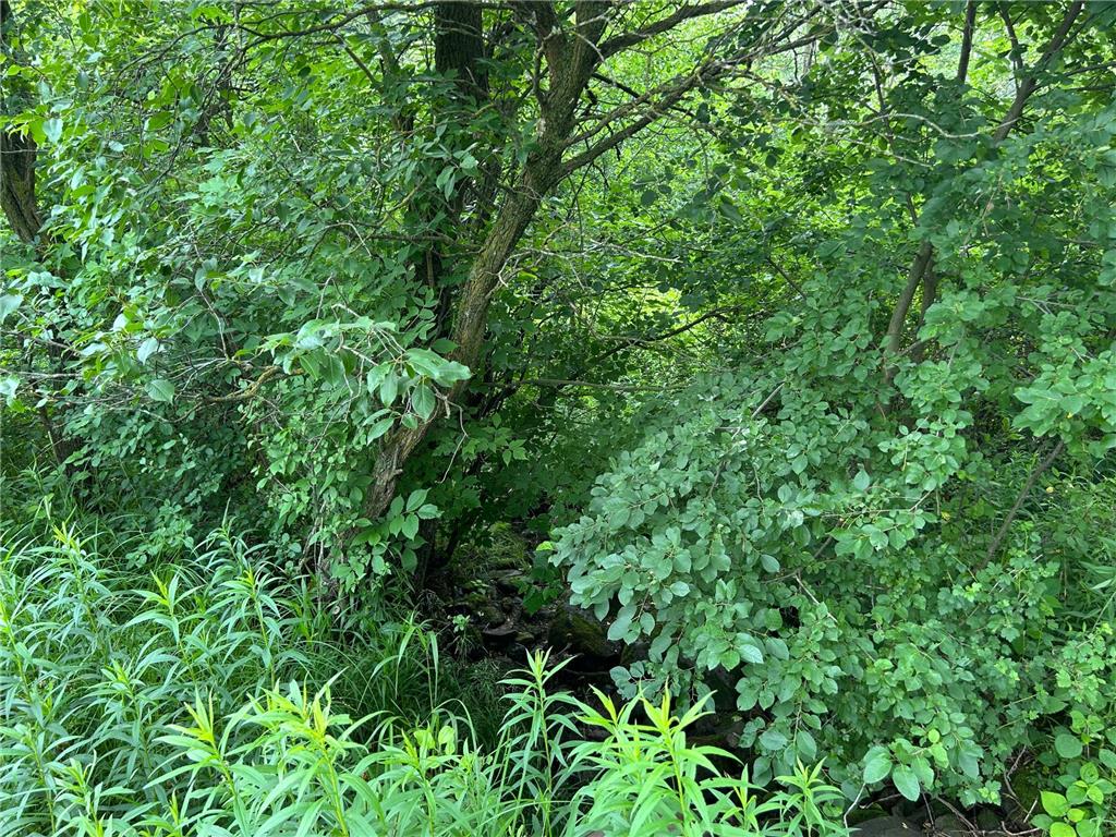 TBD US Hwy 12 Baldwin WI 54028 7099318 image8
