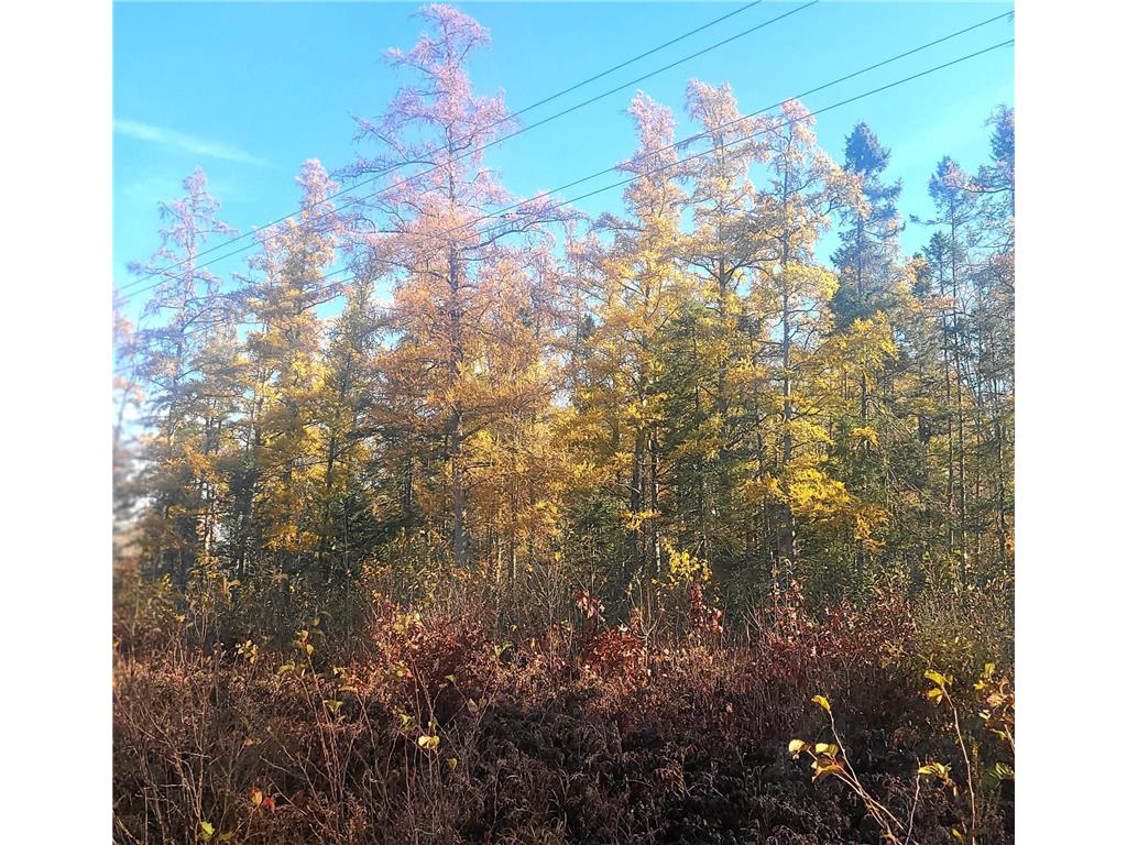 TBD US Hwy 77 Minong WI 54859 6691922 image10