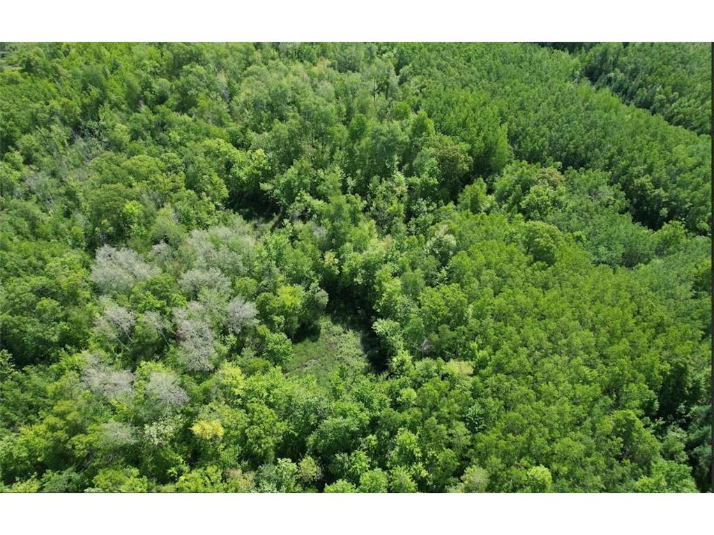 TBD US Hwy 77 Minong WI 54859 6691922 image3