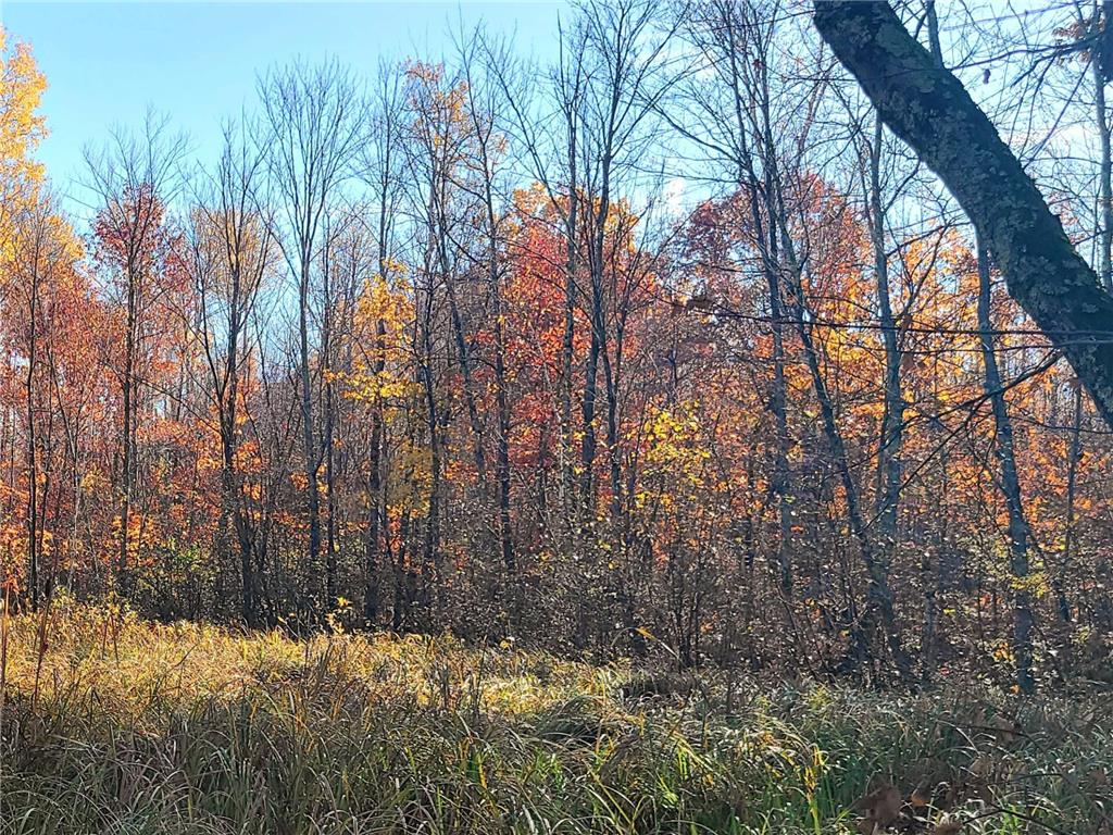 TBD US Hwy 77 Minong WI 54859 6691922 image4