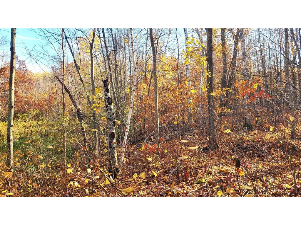 TBD US Hwy 77 Minong WI 54859 6691922 image5