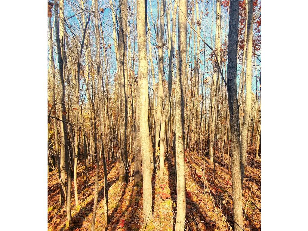 TBD US Hwy 77 Minong WI 54859 6691922 image7