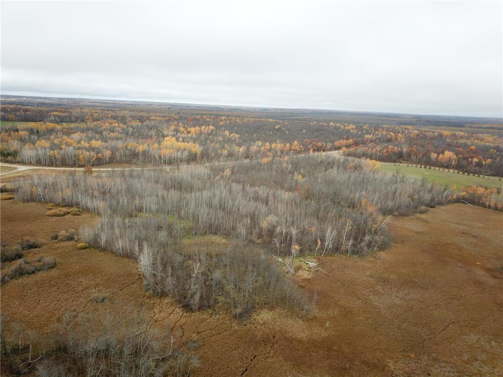 TBD Upper Rice Lake Road Minerva Twp MN 56676 - Minerva 6807445 image12