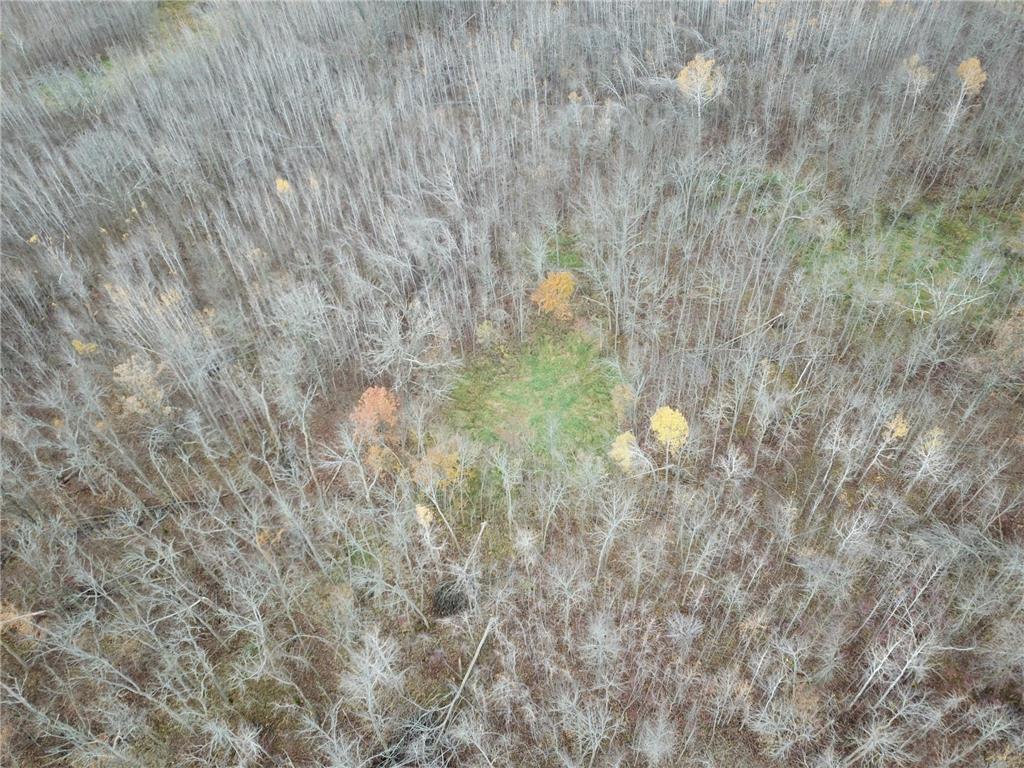 TBD Upper Rice Lake Road Minerva Twp MN 56676 - Minerva 6807445 image17