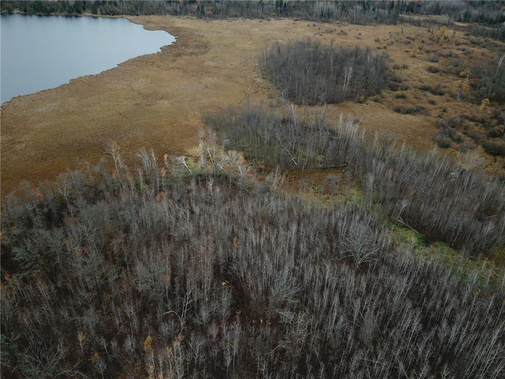 TBD Upper Rice Lake Road Minerva Twp MN 56676 - Minerva 6807445 image18