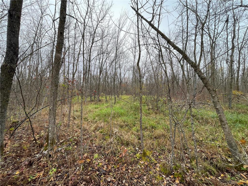 TBD Upper Rice Lake Road Minerva Twp MN 56676 - Minerva 6807445 image22