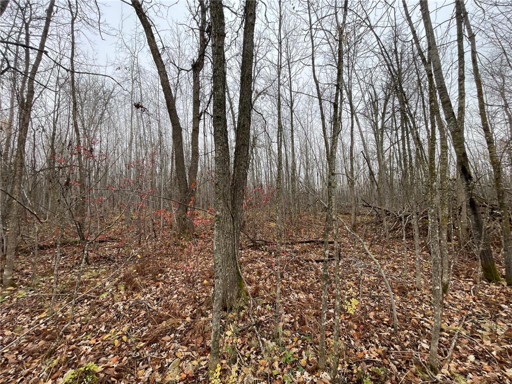 TBD Upper Rice Lake Road Minerva Twp MN 56676 - Minerva 6807445 image23